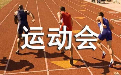如何为前锋设计高效的篮球训练方案_2